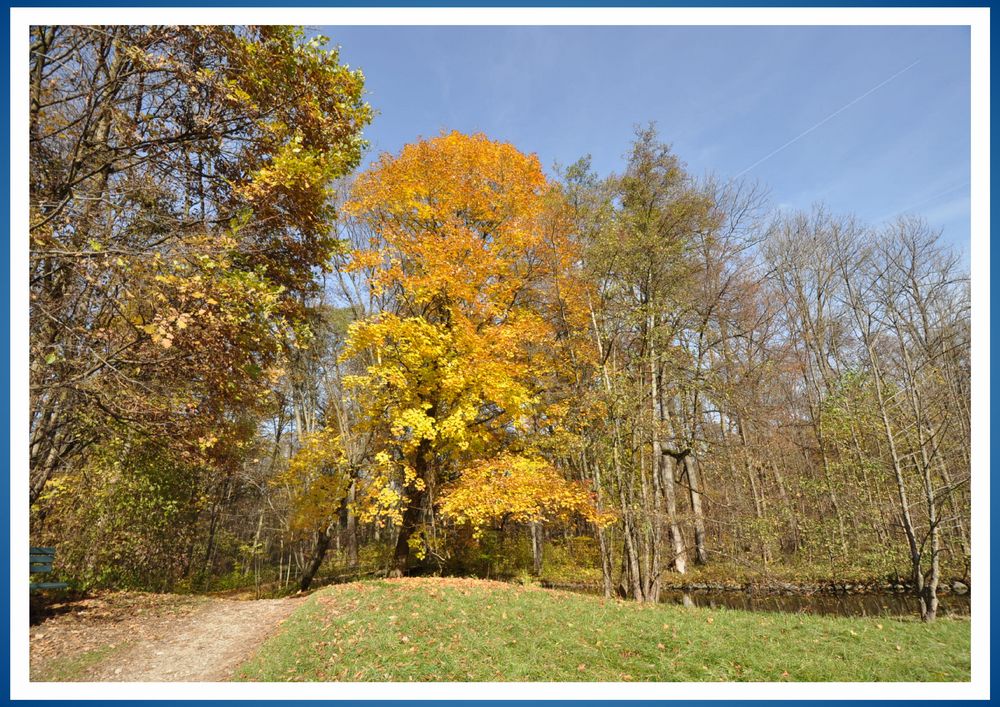 ..in Stückerl vom Schlopa-Weg..