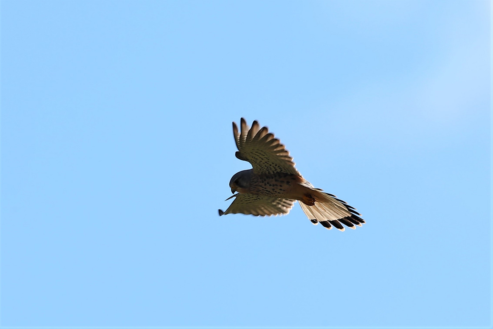 In Sülbeck im Polder