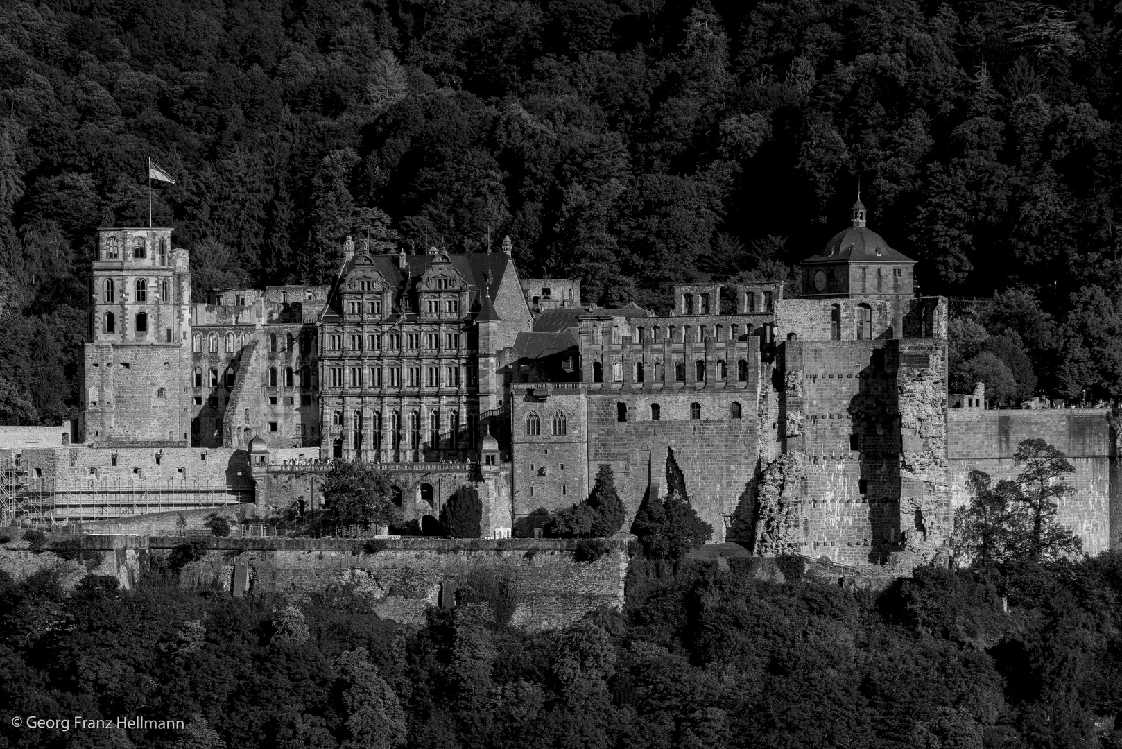 in sw - das Heidelberger Schloss im Licht der Abendsonne -