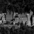 in sw - das Heidelberger Schloss im Licht der Abendsonne -