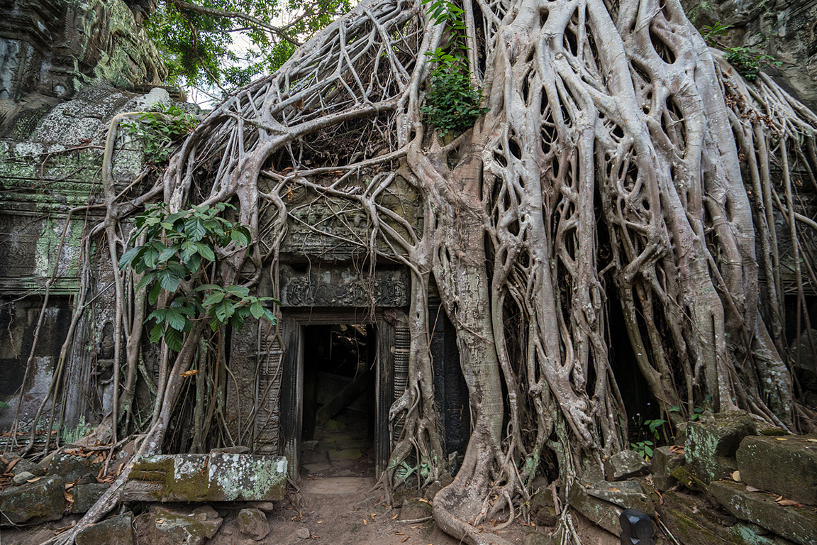 In Ta Prohm