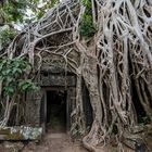 In Ta Prohm