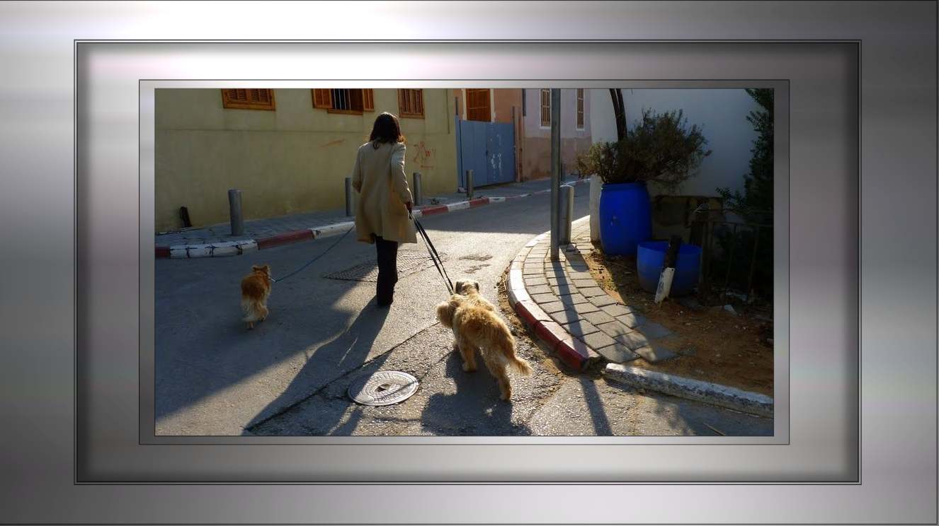 IN TEL AVIV -NEVE TZEDEK -DOGS TRIP