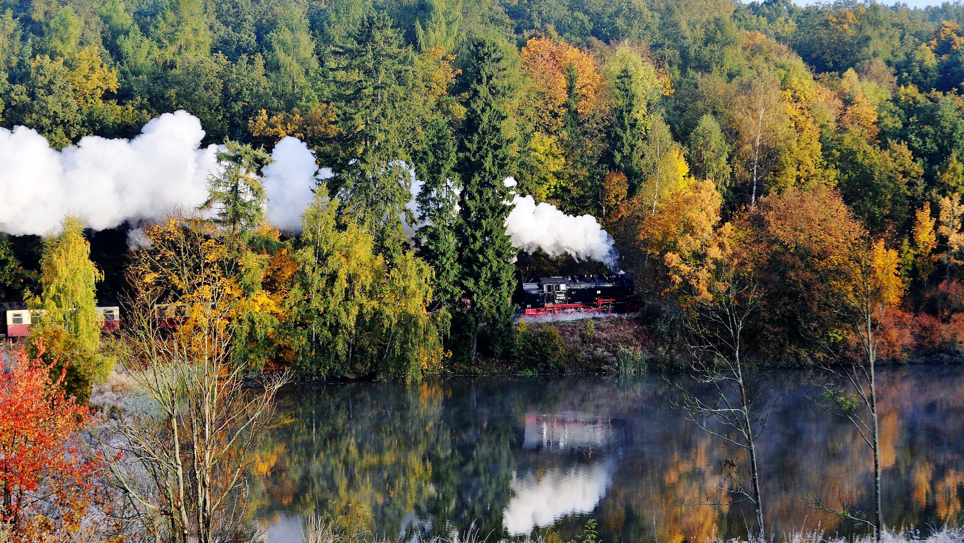 in the Autumn Morning Light 