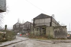 In the bleakness, some colorful activity