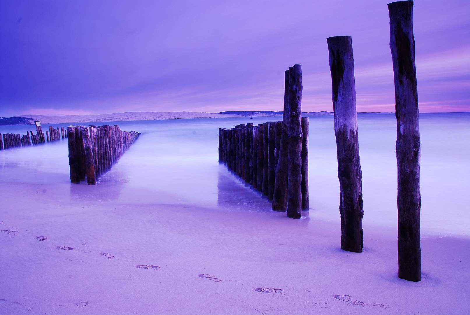 in the blue-lége cap-ferret