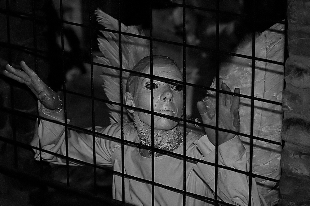 In the cage_02