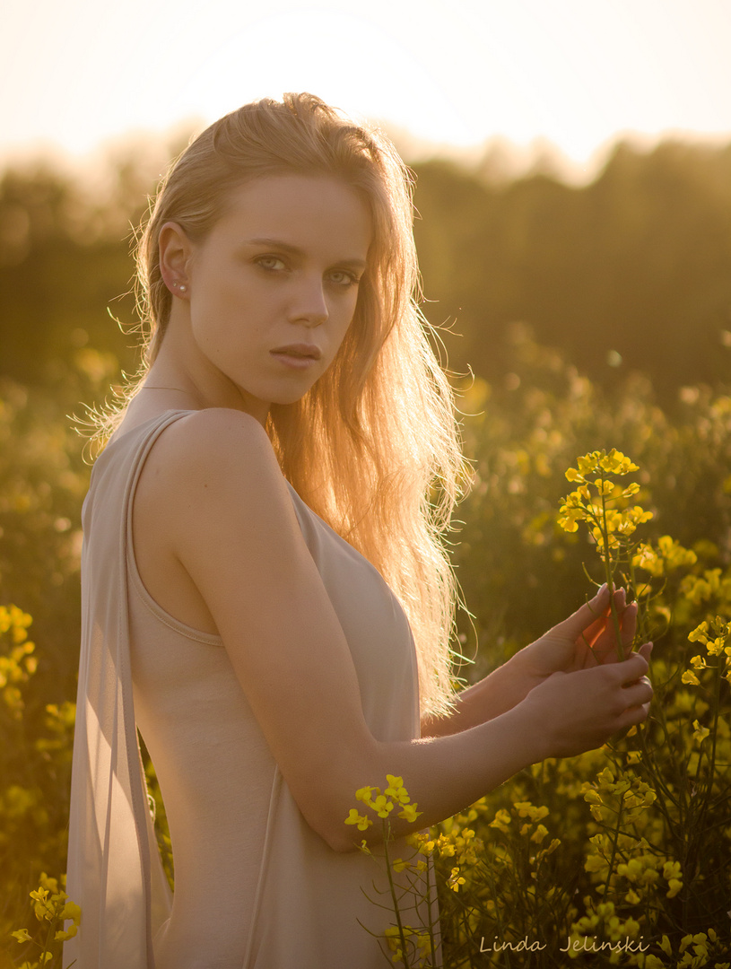 In the canola field