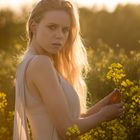 In the canola field