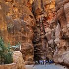 In the Canyon of Petra