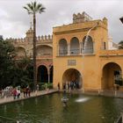 In the city park of Seville (Spain / Andalucia)