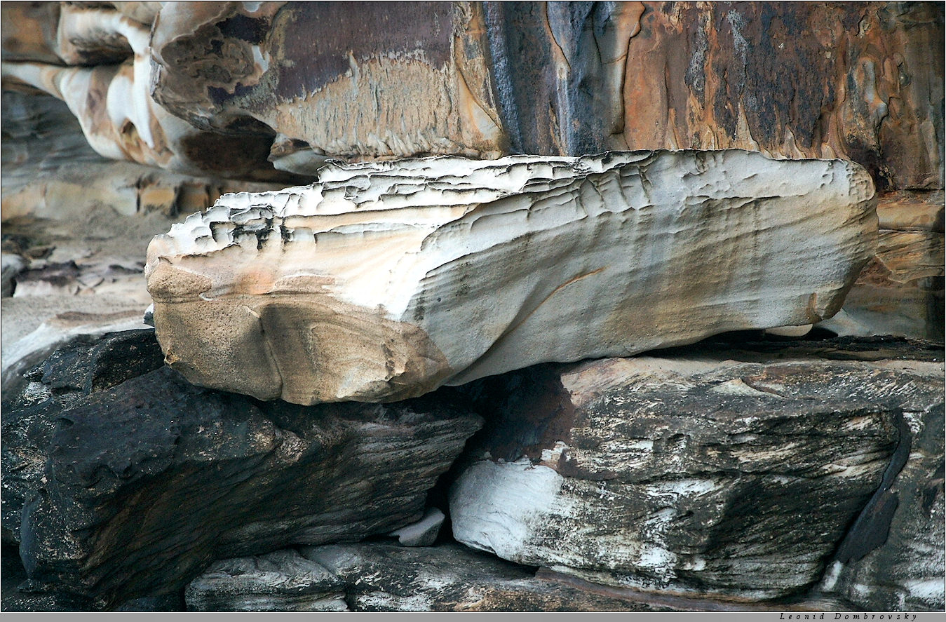 In the coastal cliffs