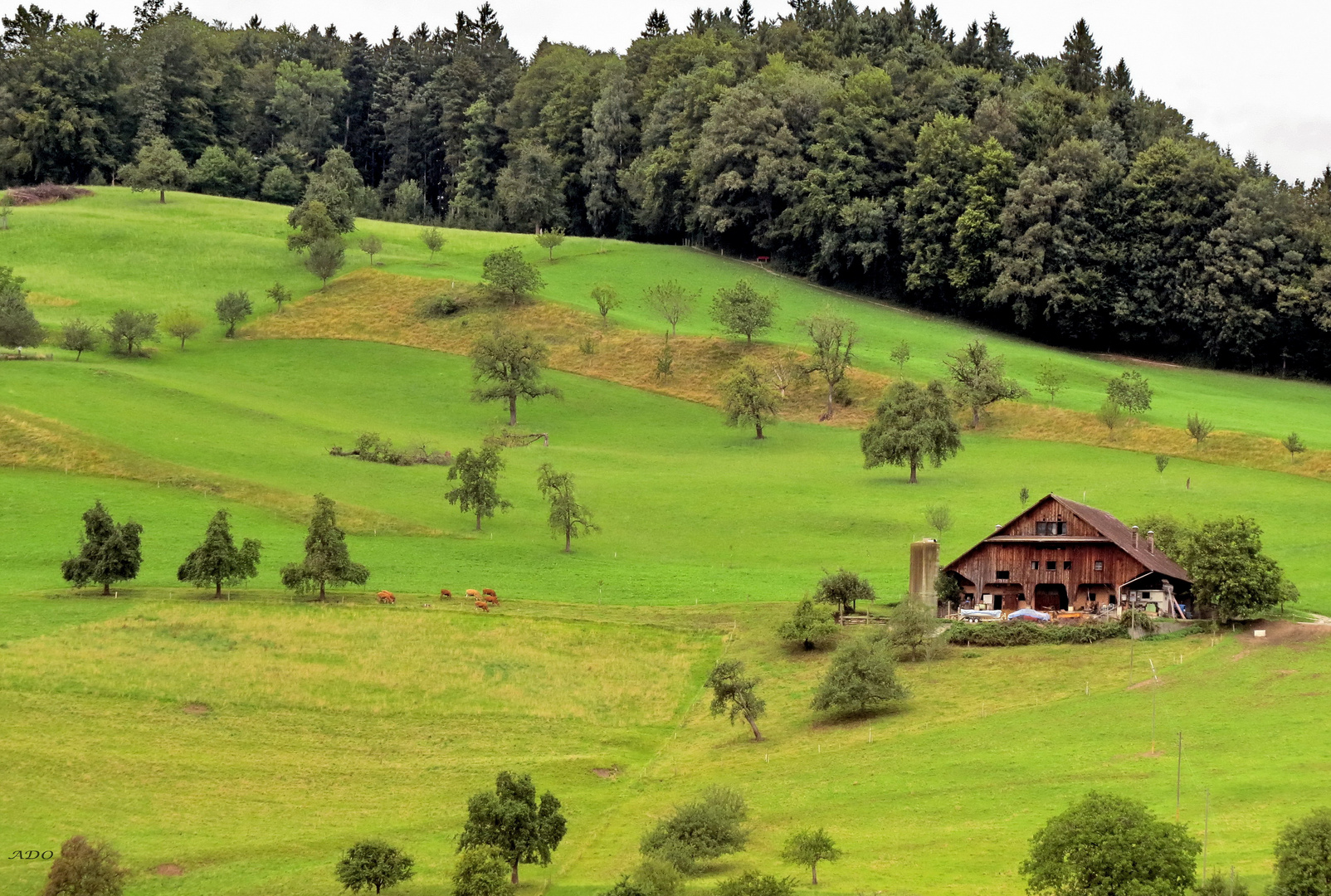 In the Countryside