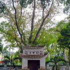 In the courtyard of Quán Thánh Temple