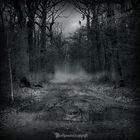 In the dark forest - new serie