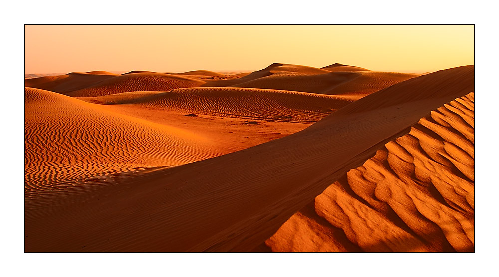 : in the desert :