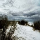 In the dunes 2