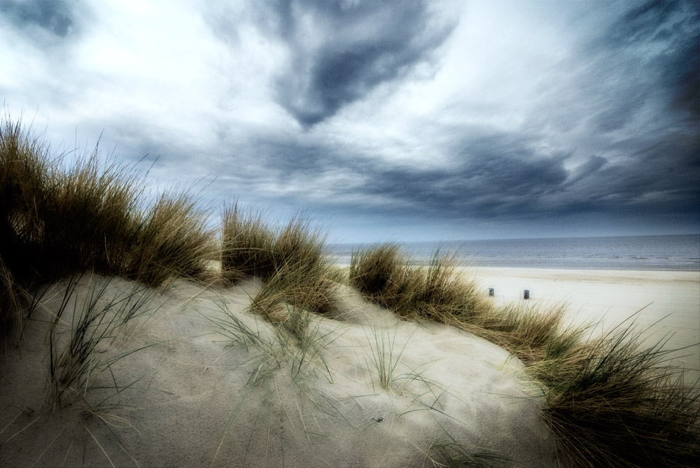 In the dunes