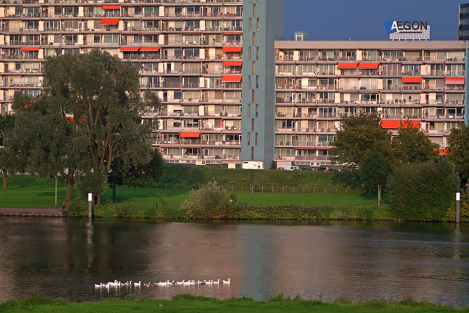 in the Dutch Mountains