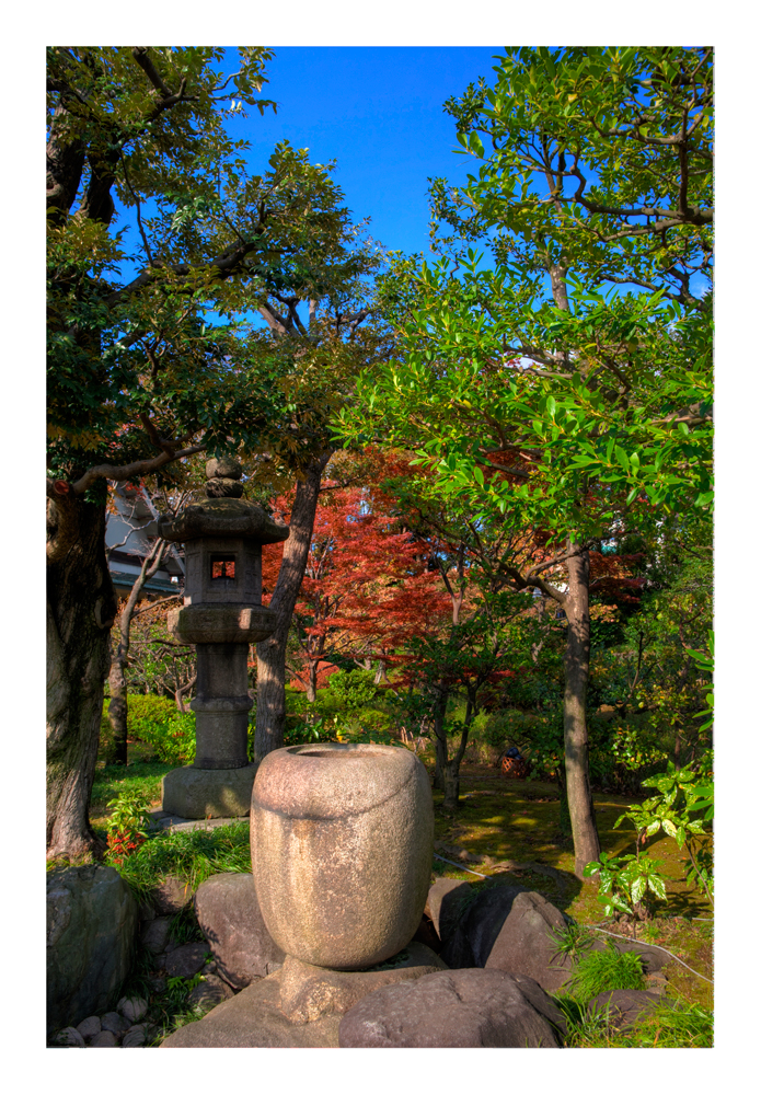 In the fall Garden