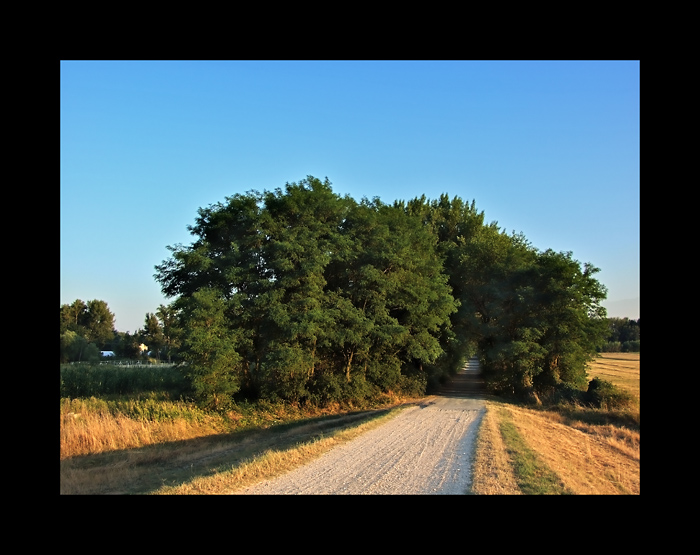 In the fields (HDR)