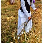 In the Fields of Wheat (2)