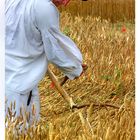 In the Fields of Wheat (5)