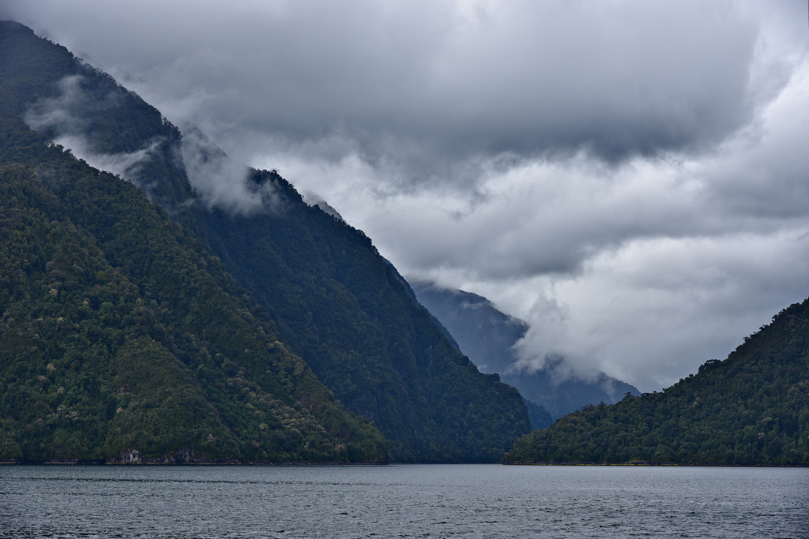 In the Fjords of Patagonia 01