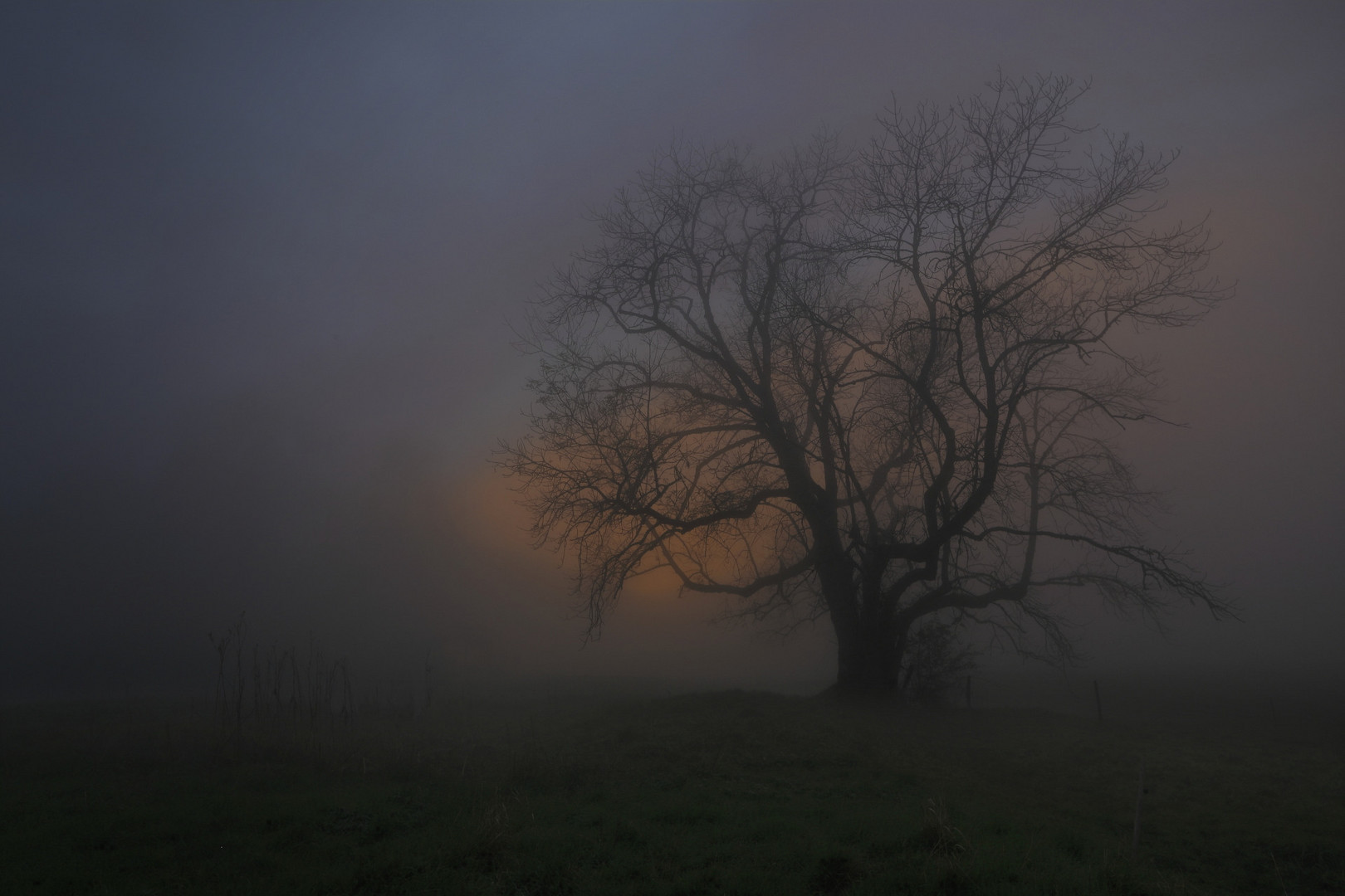 In the fog and last light