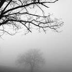 In the Fog#2