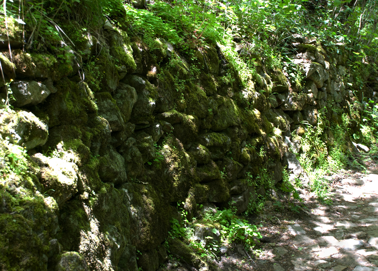 In the forest near Trabzon