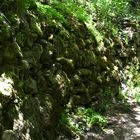 In the forest near Trabzon