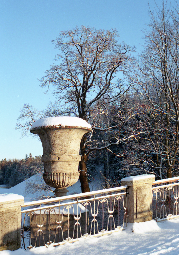  In the frost in the Pavlovsk park