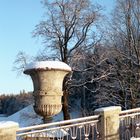  In the frost in the Pavlovsk park