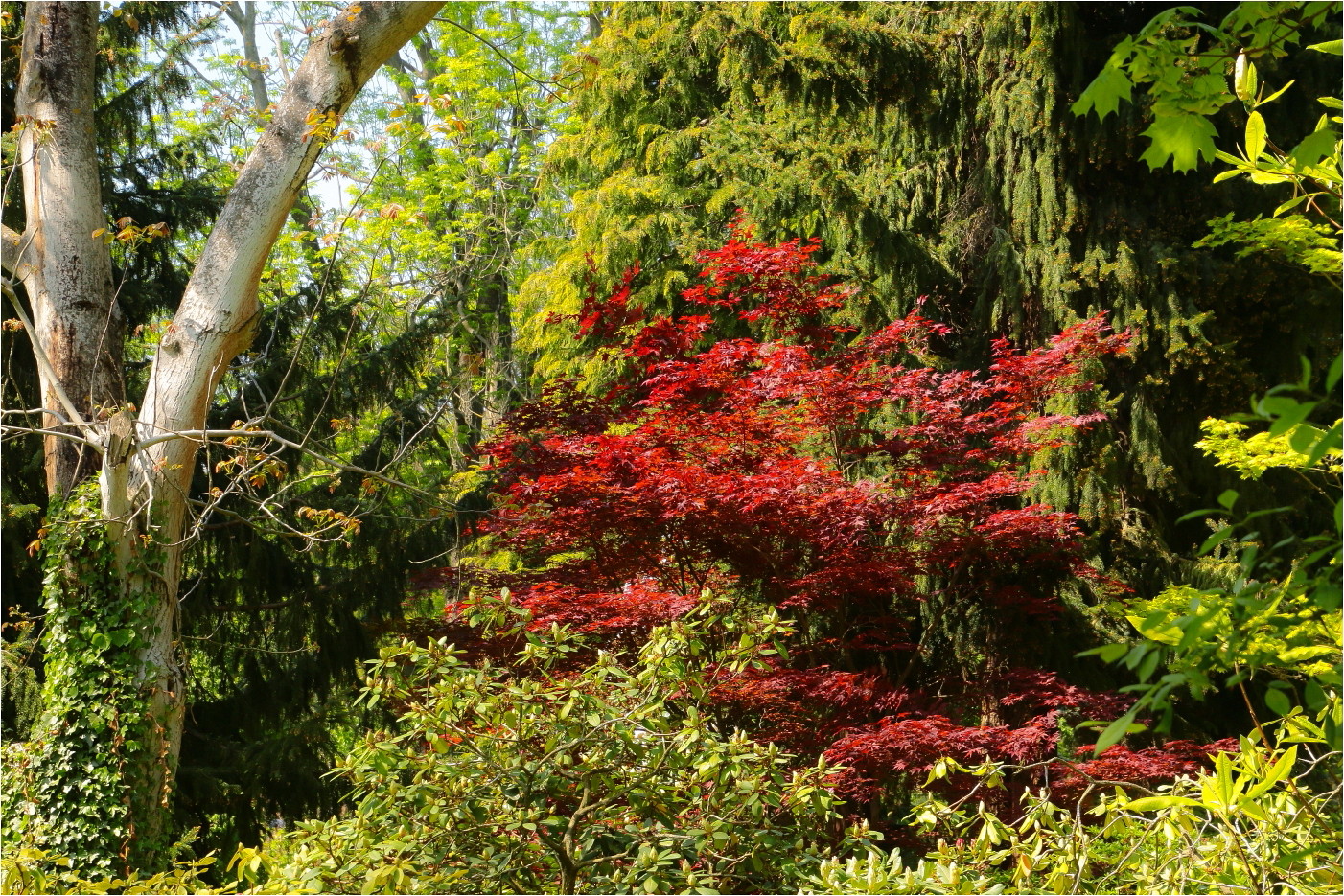 In The Garden