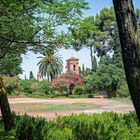 In the gardens of Alhambra