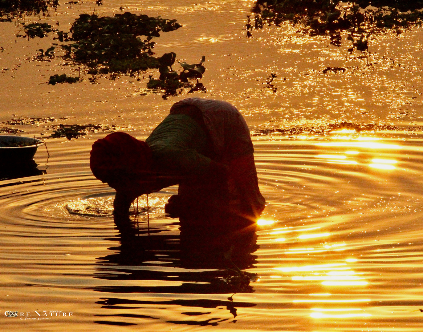 IN THE GOLDEN RIVER