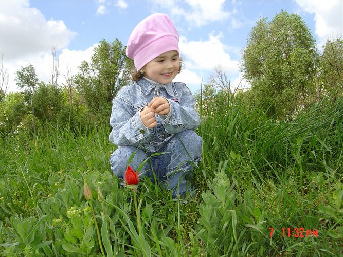 in the grass