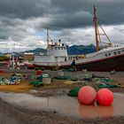 In the harbour of Höfn