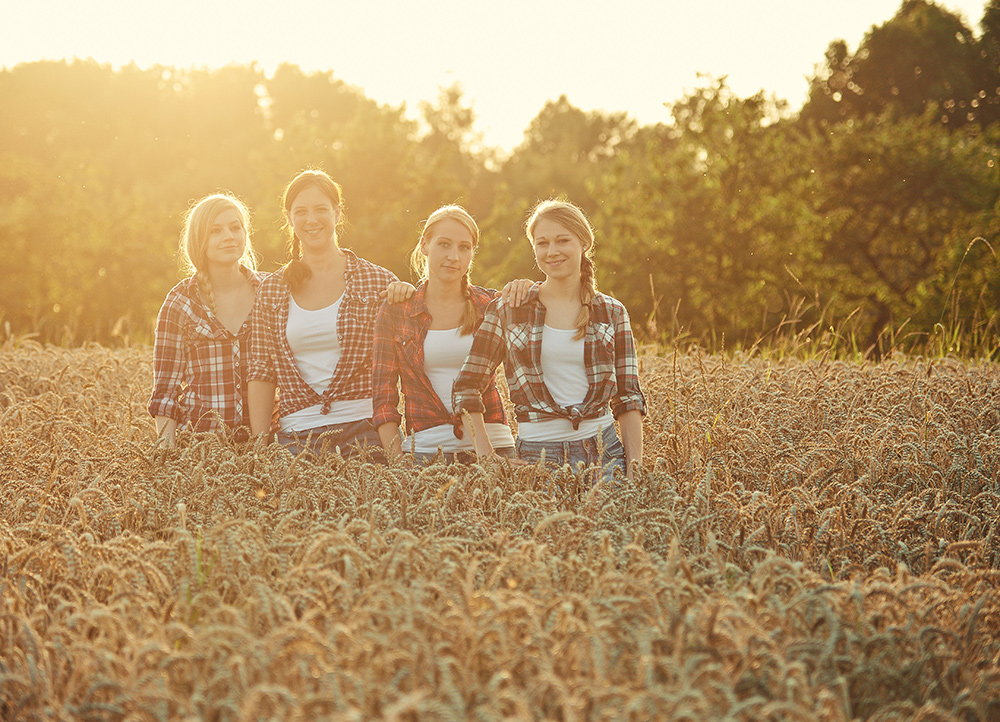 in the harvest