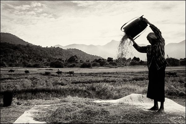 In the highlands of Vietnam at the beginning of the 1990s. 17