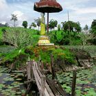 In the Khao Laem National Park