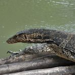 In the Klongs of Bangkok 2