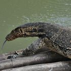 In the Klongs of Bangkok 3