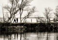 In the Land of Pleasant Living No. 40 - Strolling Claiborne Jetty