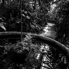 In the large greenhouse