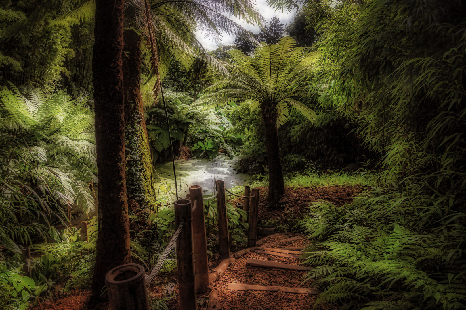 In the lost gardens of heligan