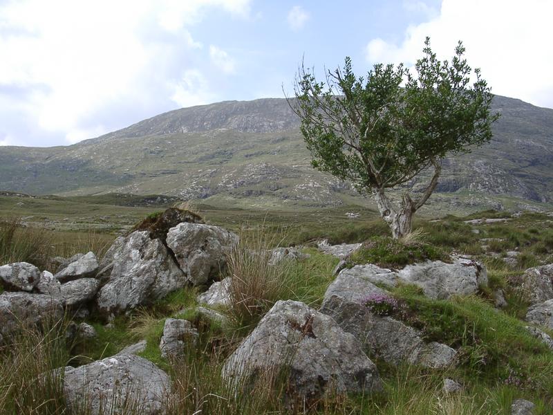 In the middle of Connemara