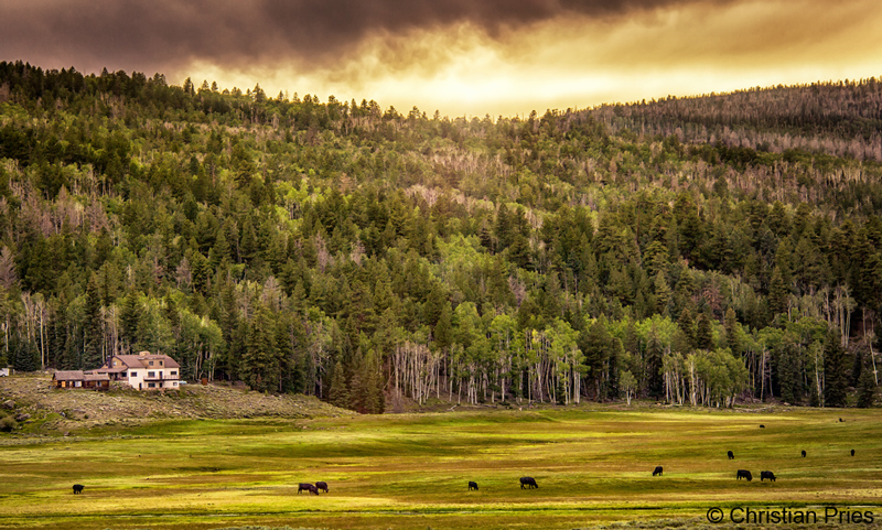 in the middle of nowhere between Dixie National Forest and Cidar city :D