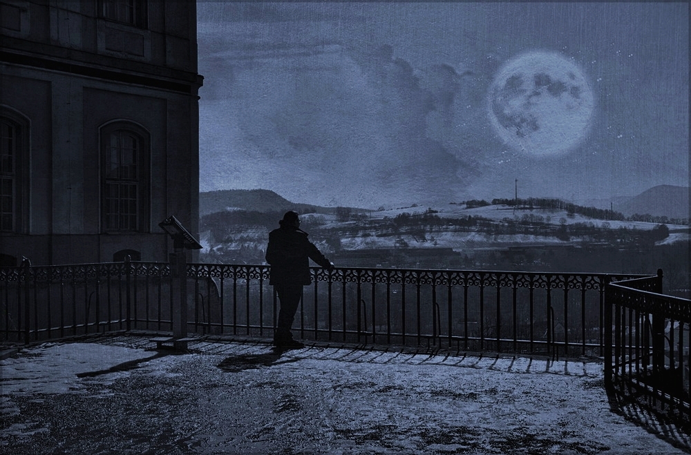 in the moonlight